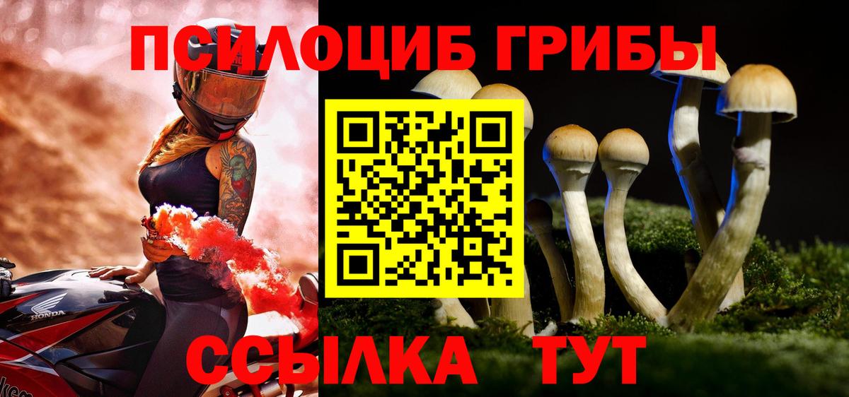 продажа наркотиков  Вход с VPN  Нефтеюганск  Псилоцибиновые грибы мицелий 